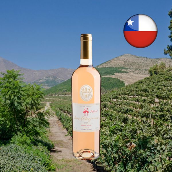 Aves Patagónicas Merlot-Syrah Rosé Central Valley 2019 - Oferta