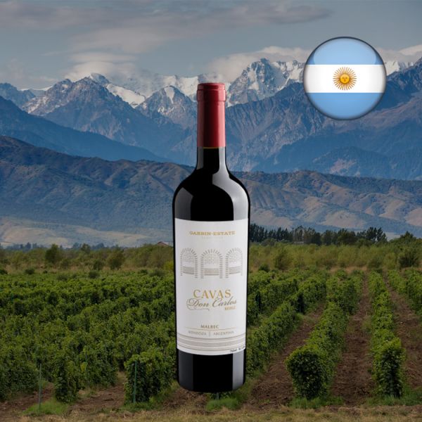 Cavas Don Carlos Malbec 2019 - Oferta