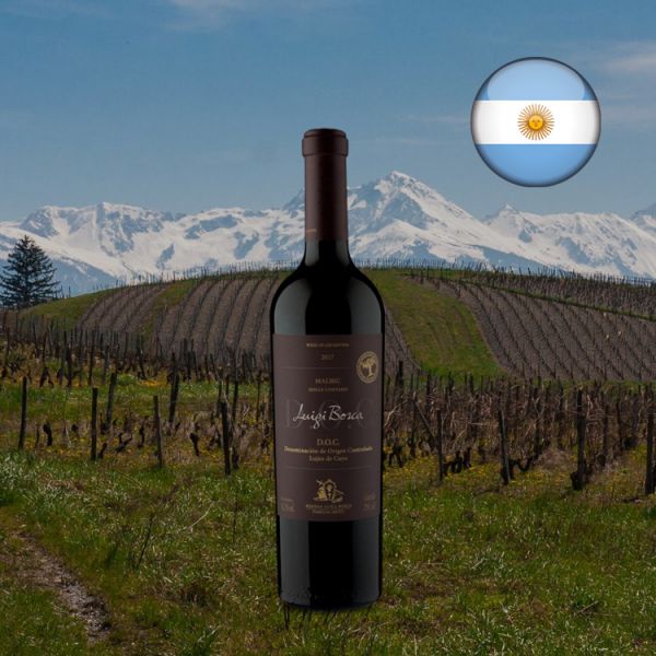 Luigi Bosca D.O.C. Luján de Cuyo Malbec 2017 - Oferta