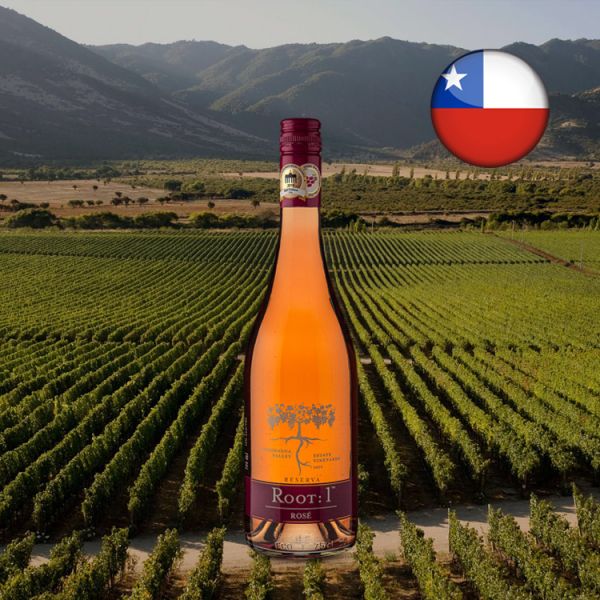 Root: 1 Reserva Rosé 2019 - Oferta