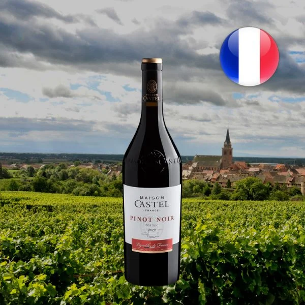 Maison Castel Pinot Noir 2019 - Oferta