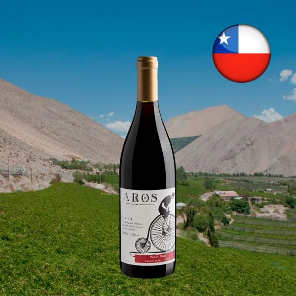 Aros Pinot Noir 2019 - Oferta