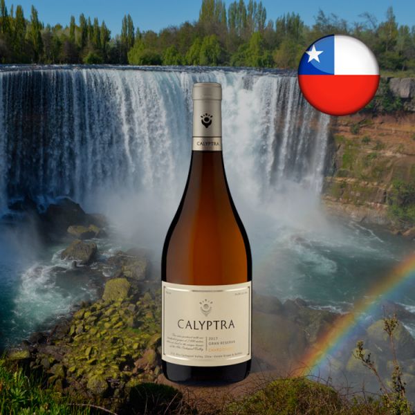 Calyptra Gran Reserva Chardonnay 2017 - Oferta