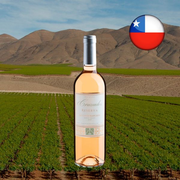 Cruzados Reserva Sauvignon Blanc Rosé 2019 - Oferta