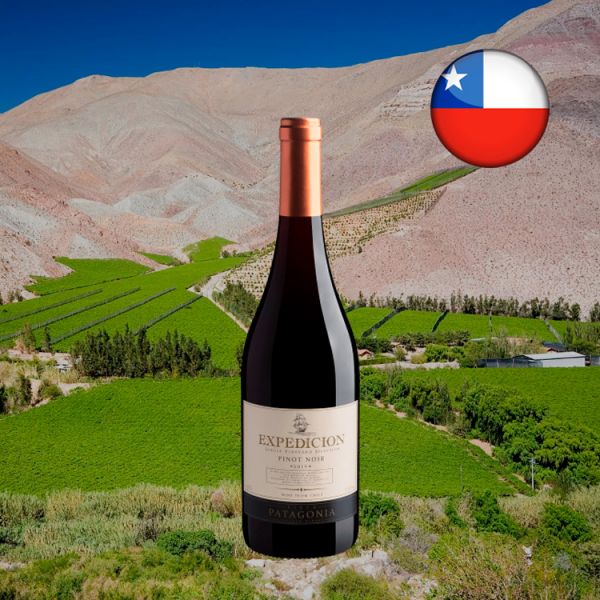 Expedicion Single Vineyard Selection Pinot Noir D.O. Central Valley 2019 - Oferta