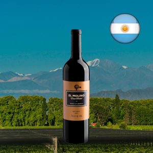 El Molino Malbec 2020 - Oferta