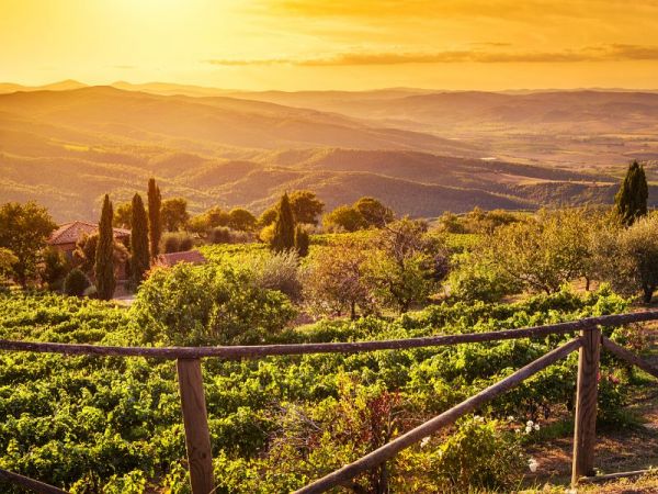 Brunello di Montalcino