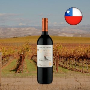 Dancing Flame Ojos del Salado D.O. Valle Central Malbec 2020 - Oferta