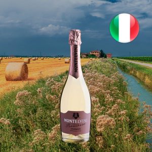 Montelvini Collezione Promosso Spumante Millesimato Brut - Oferta