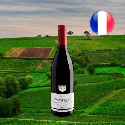 Buissonnier Pinot Noir Bourgogne Côte Chalonnaise 2018 | Center Gourmet ...