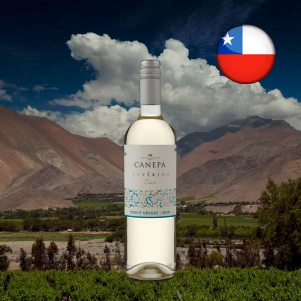 Canepa Novísimo Pinot Grigio 2019 - Oferta