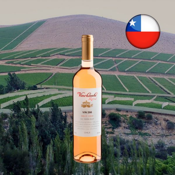 Vinchante Rosé Merlot-Syrah Central Valley 2020 - Oferta