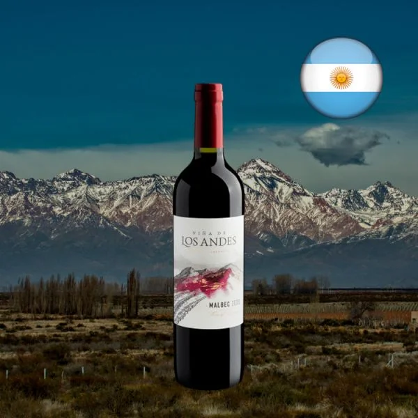 Viña De Los Andes Malbec 2020 - Oferta