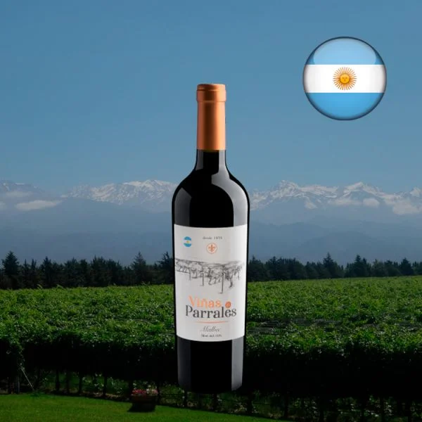 Viñas & Parrales Malbec 2019 - Oferta