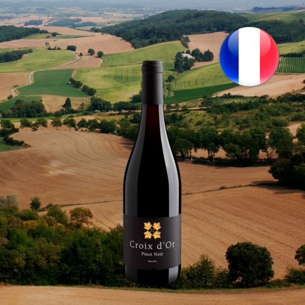 Croix d'Or Pinot Noir Pays d'Oc IGP 2019 - Oferta