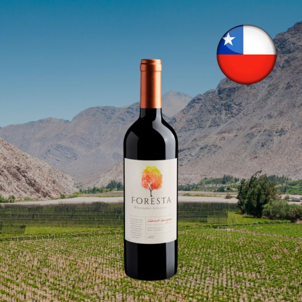 Foresta Winemaker Selection Cabernet Sauvignon Central Valley D.O. 2020 - Oferta