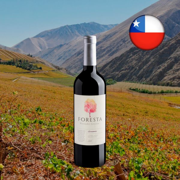 Foresta Winemaker Selection Carménère Central Valley D.O. 2020 - Oferta