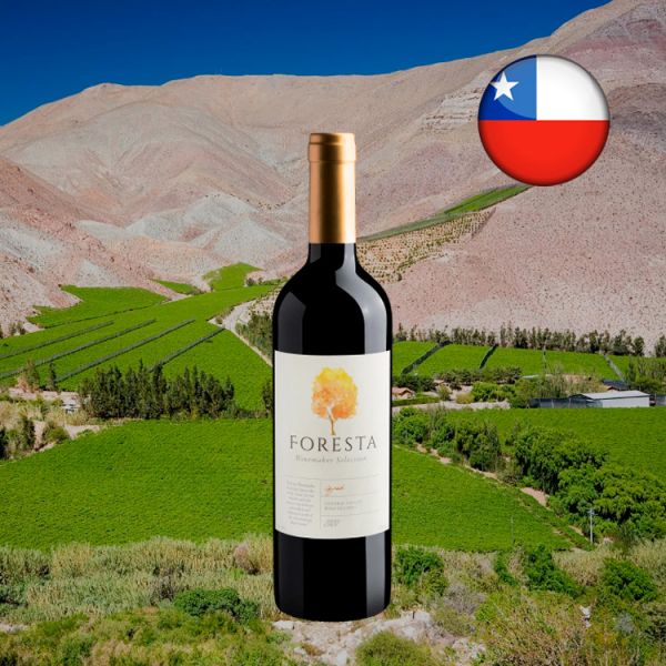 Foresta Winemaker Selection Syrah Central Valley D.O. 2020 - Oferta