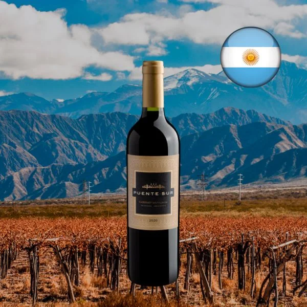 Puente Sur Cabernet Sauvignon 2020 - Oferta