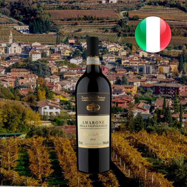 Tenuta Sant`Antonio D.O.C.G. Amarone Della Valpolicella 2016 - Oferta