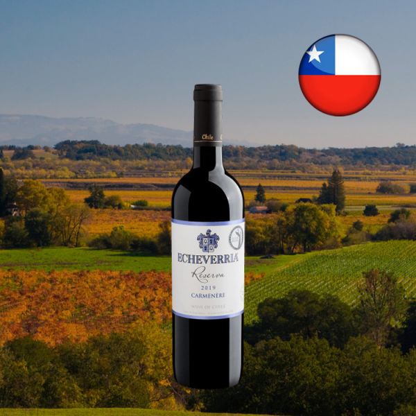 Echeverria Reserva Carménère 2019 - Oferta