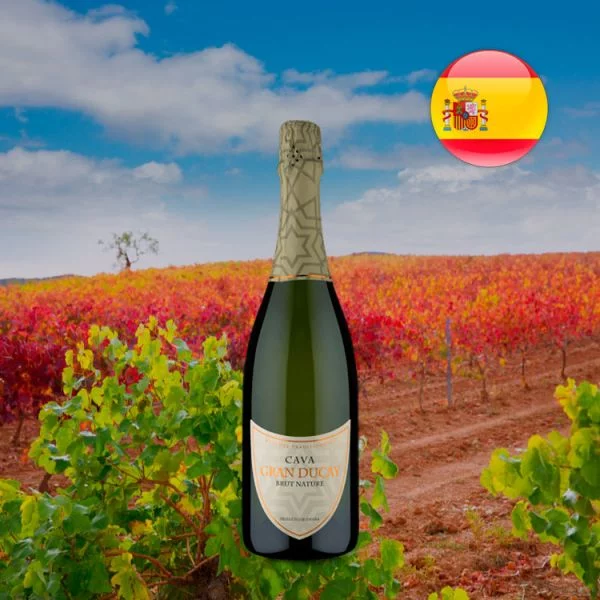 Espumante Gran Ducay D.O. Cava Nature - Oferta