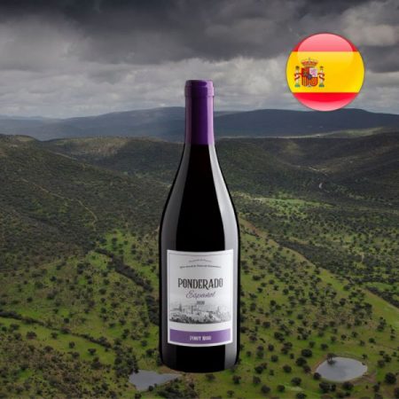 Ponderado Pinot Noir 2020 - Oferta