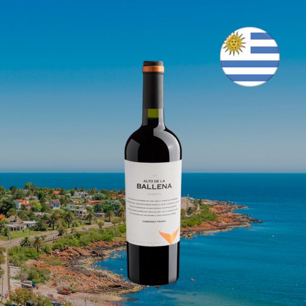 Alto De La Ballena Reserva Cabernet Franc 2016 - Oferta