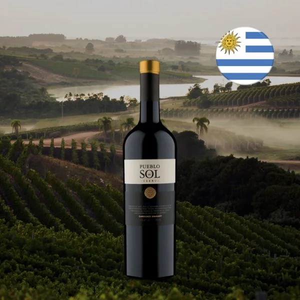 Pueblo del Sol Reserva Tannat 2020 - Oferta