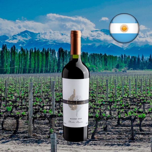 Demons & Angels Malbec 2020 - Oferta