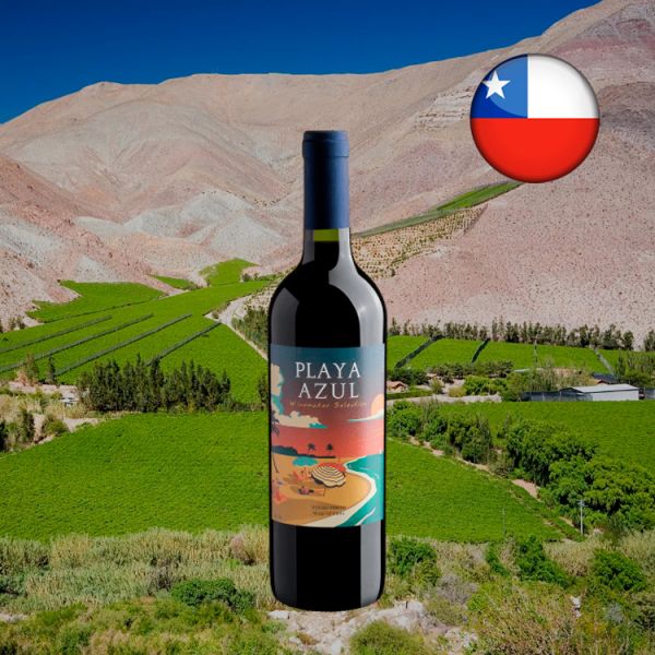 Playa Azul Winemaker Selection Red Blend - Oferta