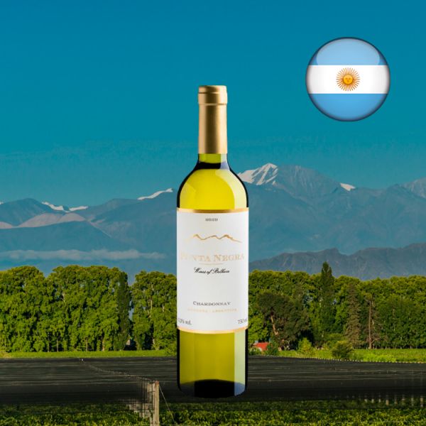 Punta Negra Wines of Belhara Chardonnay 2019 - Oferta