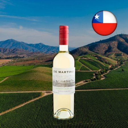 De Martino Sauvignon Blanc Valle de Casablanca D.O. 2020 - Oferta