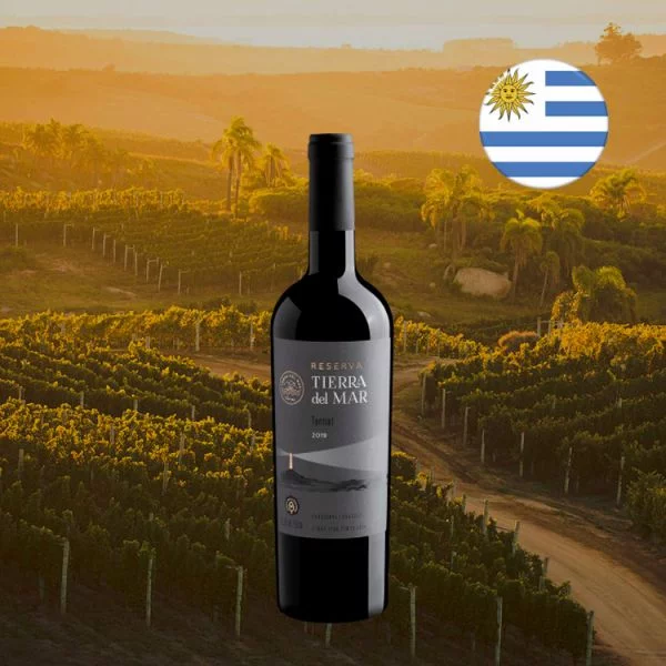 Tierra Del Mar Tannat Reserva 2019 - Oferta