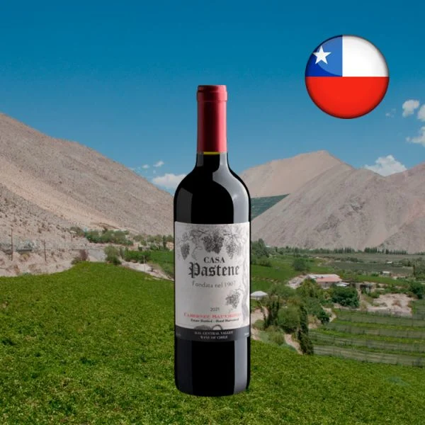 Casa Pastene Cabernet Sauvignon Central Valley D.O. 2021 - Oferta