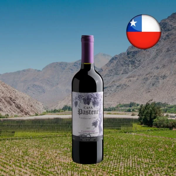 Casa Pastene Carmenere Central Valley D.O. 2021 - Oferta