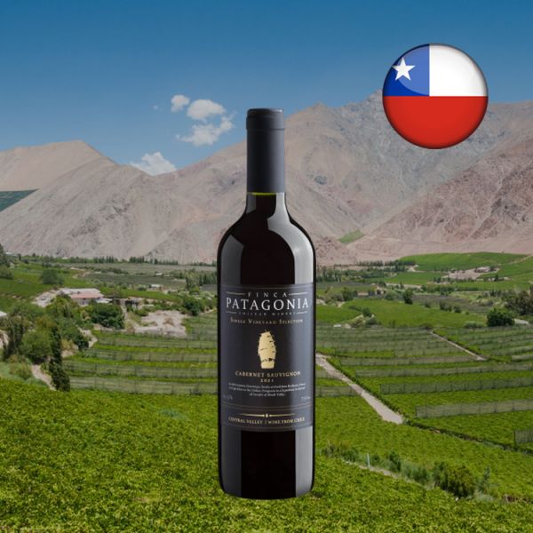 Finca Patagonia Single Vineyard Selection Cabernet Sauvignon Central Valley D.O. 2021 - Oferta