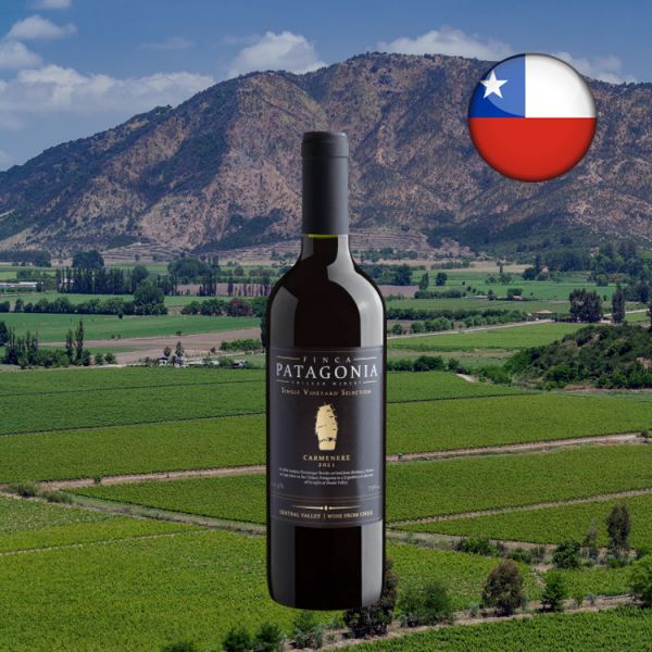 Finca Patagonia Single Vineyard Selection Carménère 2021 - Oferta