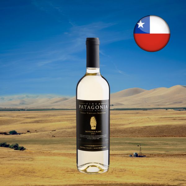 Finca Patagonia Single Vineyard Selection Sauvignon Blanc Central Valley D.O. 2021 - Oferta