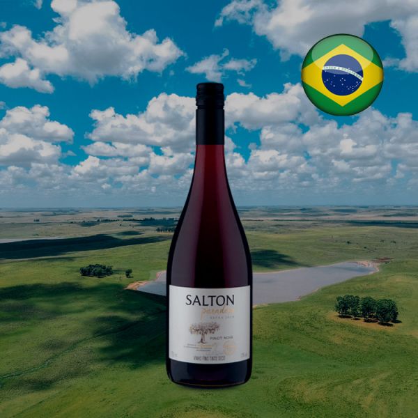 Salton Paradoxo Pinot Noir 2018 - Oferta