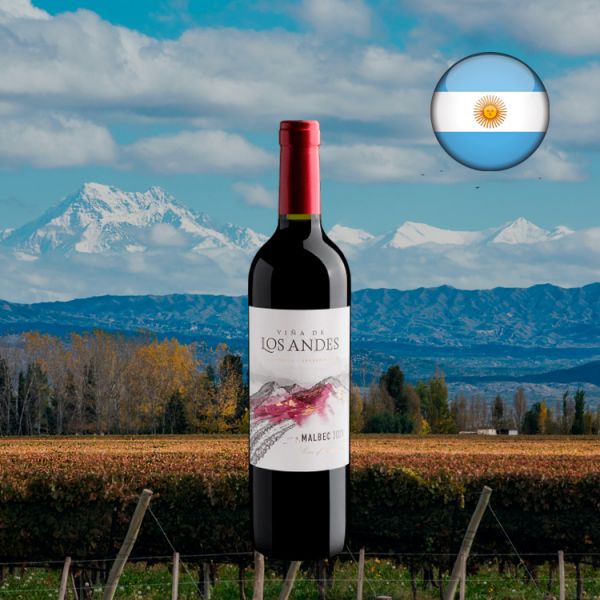 Viña de Los Andes Malbec 2021 - Oferta