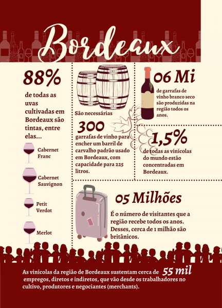 infográfico vinho bordeaux