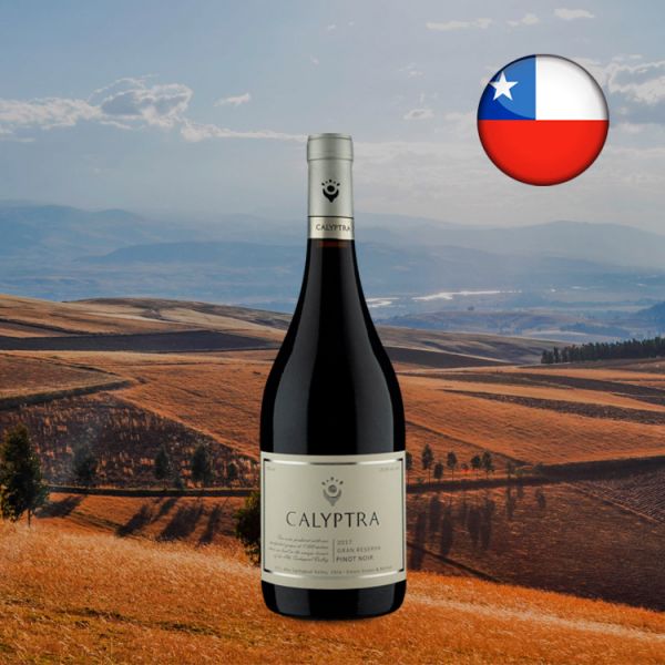 Calyptra Gran Reserva Pinot Noir 2017 - Oferta