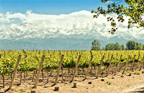 Condor Peak Sweet Red Wine 2020 - Terroir