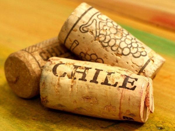 vinho chileno