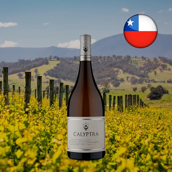 Calyptra Gran Reserva Sauvignon Blanc 2017 - Oferta