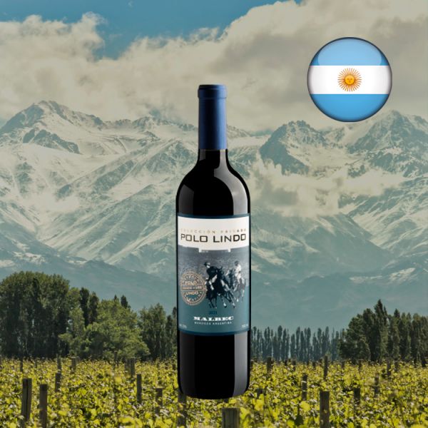 Polo Lindo Colección Privada Malbec 2021 - Oferta