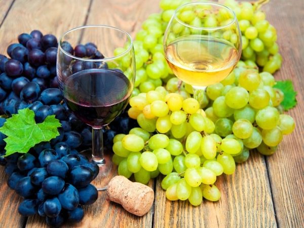 cores de vinhos