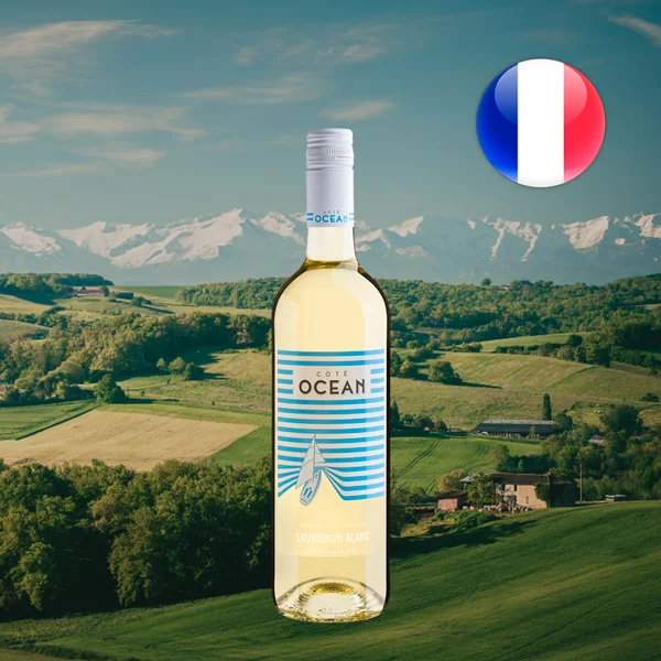 Côté Océan Sauvignon Blanc Atlanique IGP 2019 - Oferta