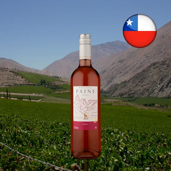 Paine Rosé 2021 - Oferta